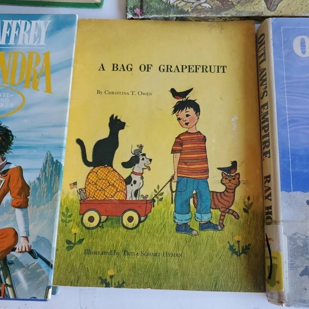 LITTLE HOUSE IN THE BIG WOODS Laura Ingalls Wilder Homeschool Lot 13 Bobbsy Twin